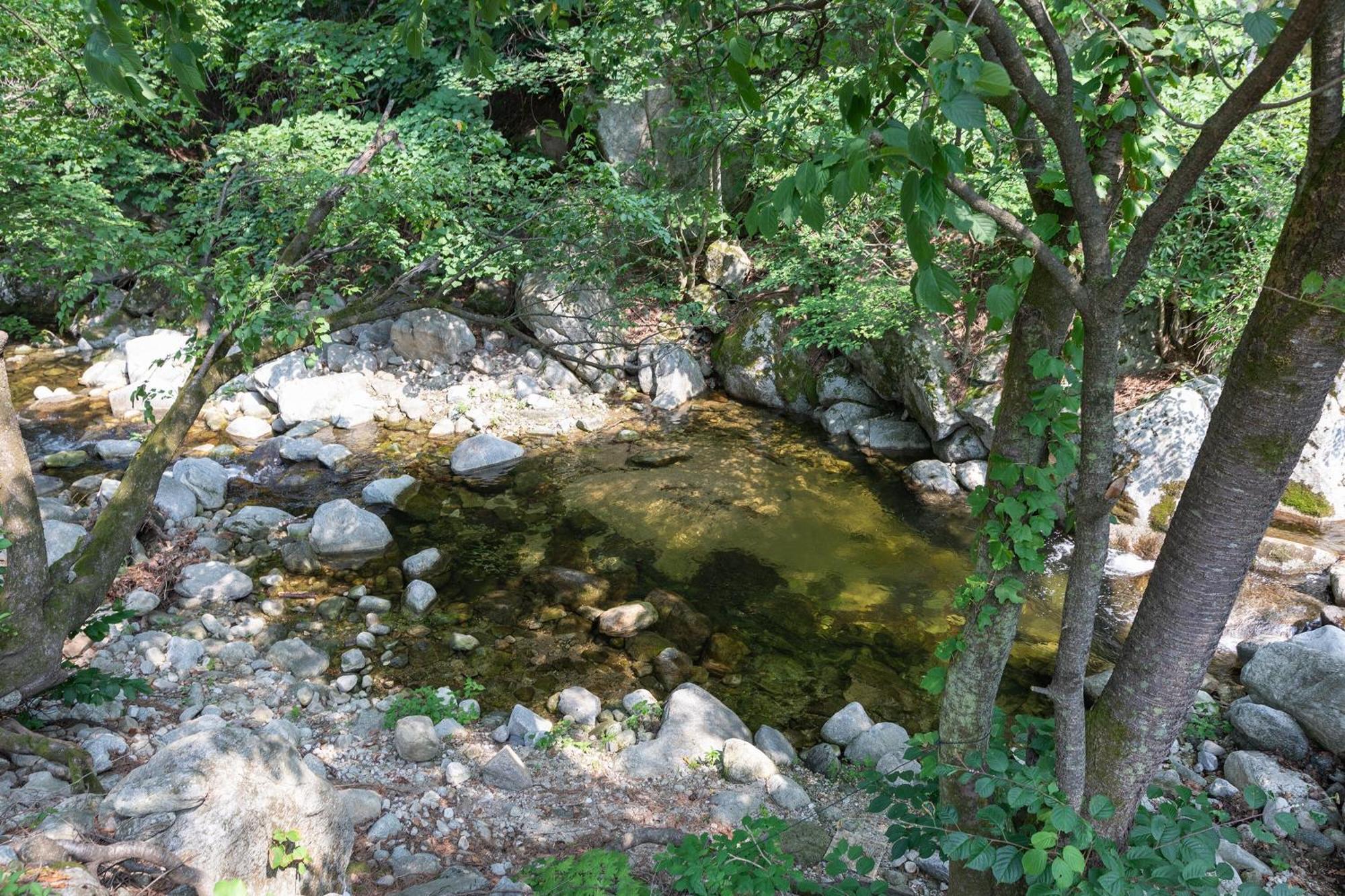 Hotel Gangneung Yasaenghwa Maeul Zewnętrze zdjęcie