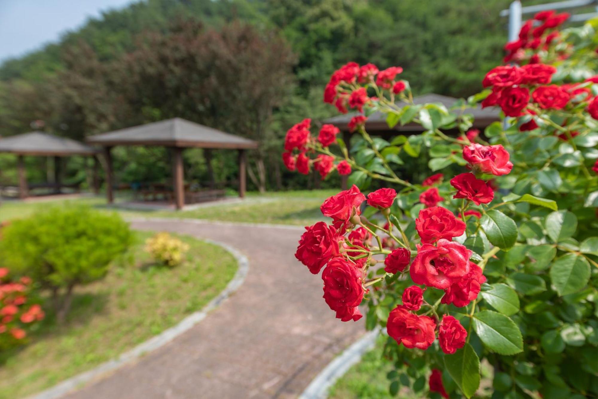 Hotel Gangneung Yasaenghwa Maeul Zewnętrze zdjęcie